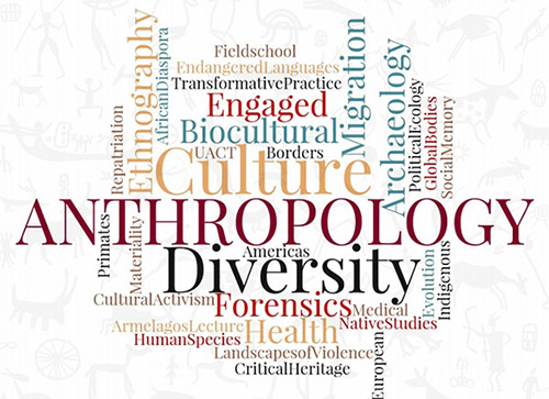 123 Best Anthropology Research Paper Topics Today