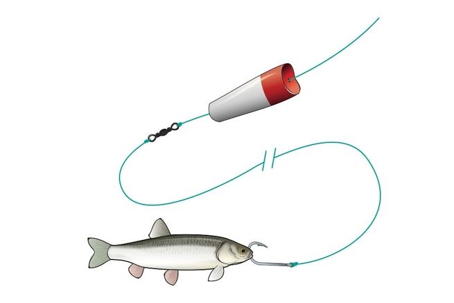 5 Types Of Live Bait Rigs That Will Catch Fish Anywhere