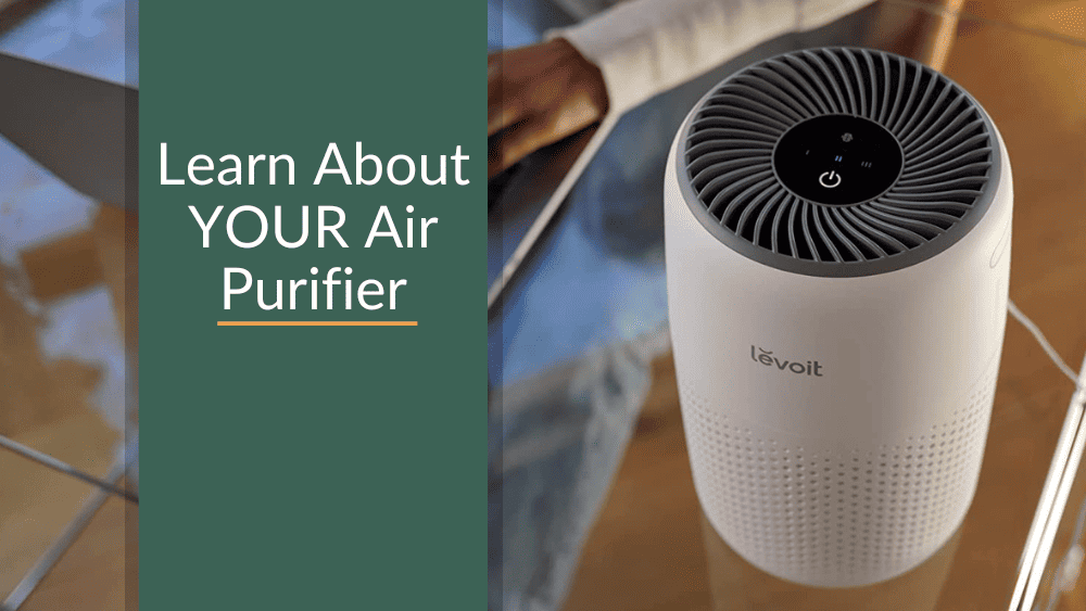 All You Need To Know About Air Purifiers And How Do They Work