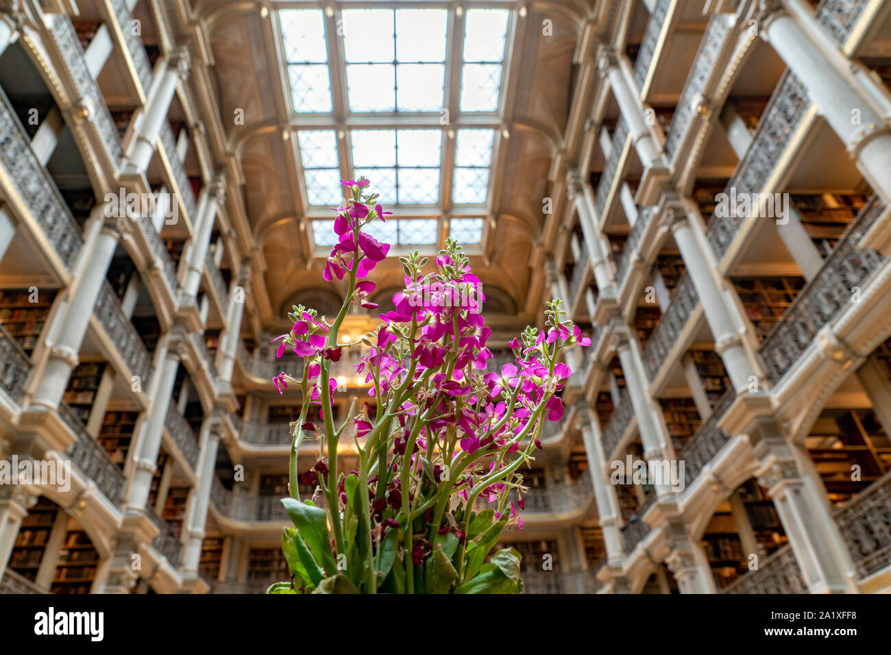 Baltimore Public Library Unusual View Detail Stock Photo Alamy