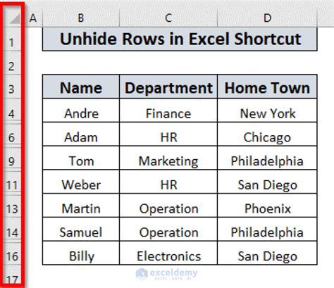 Best Methods To Unhide Rows In Excel