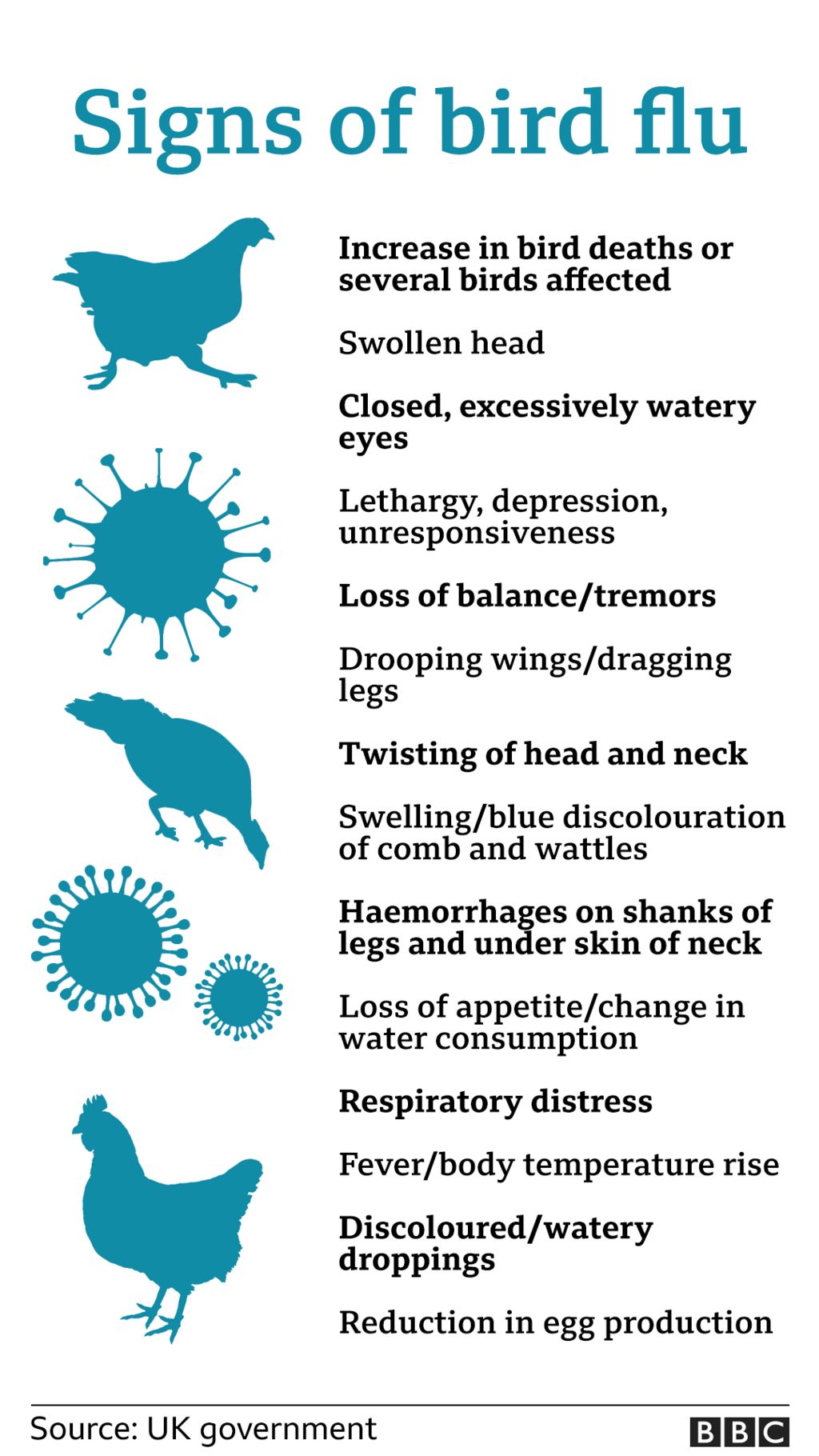 Bird Flu China Confirms First Death From Common Avian Influenza H3n8 Strain News Com Au