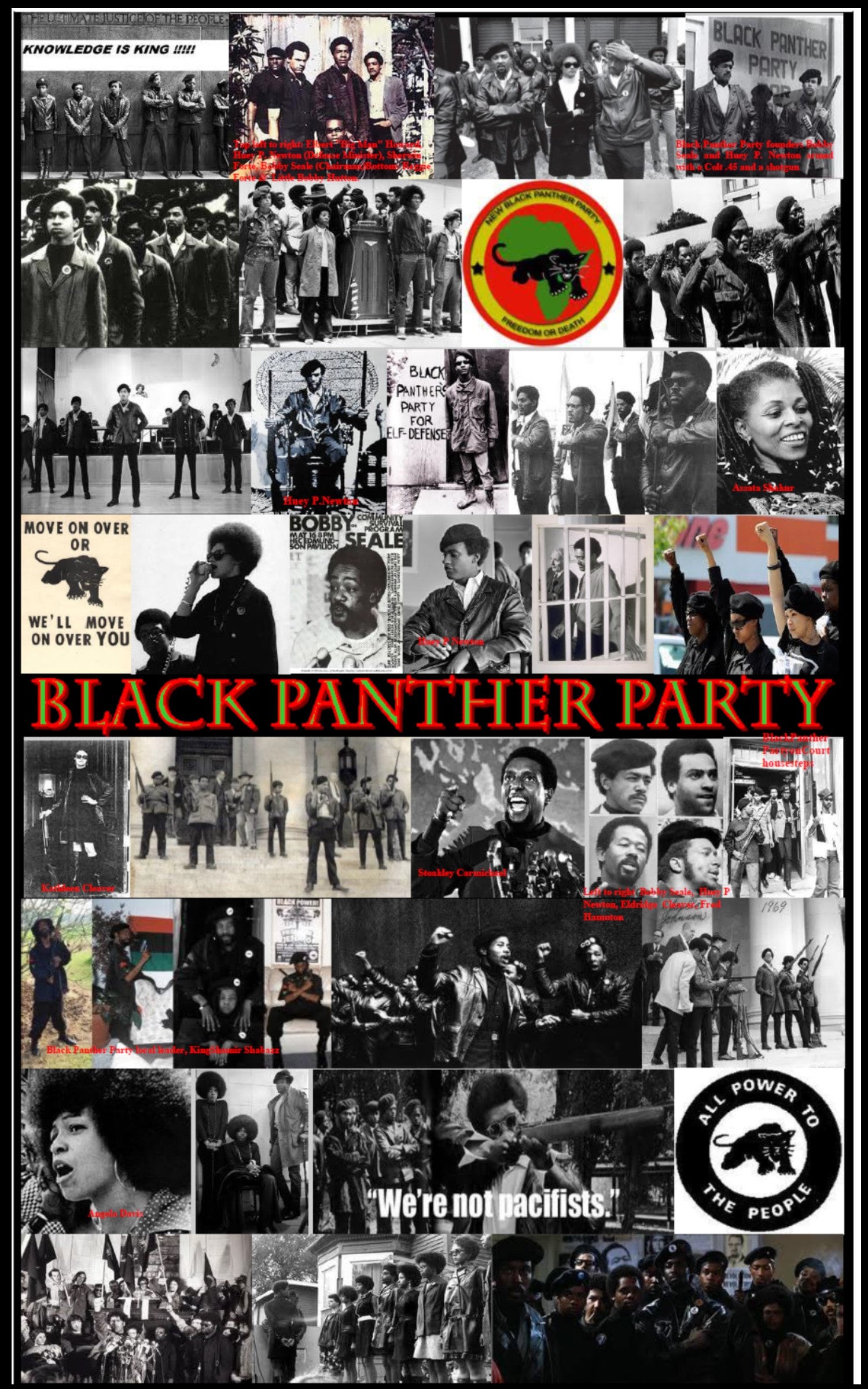 Black Panther Party Poster Black History Poster Black Power Etsy