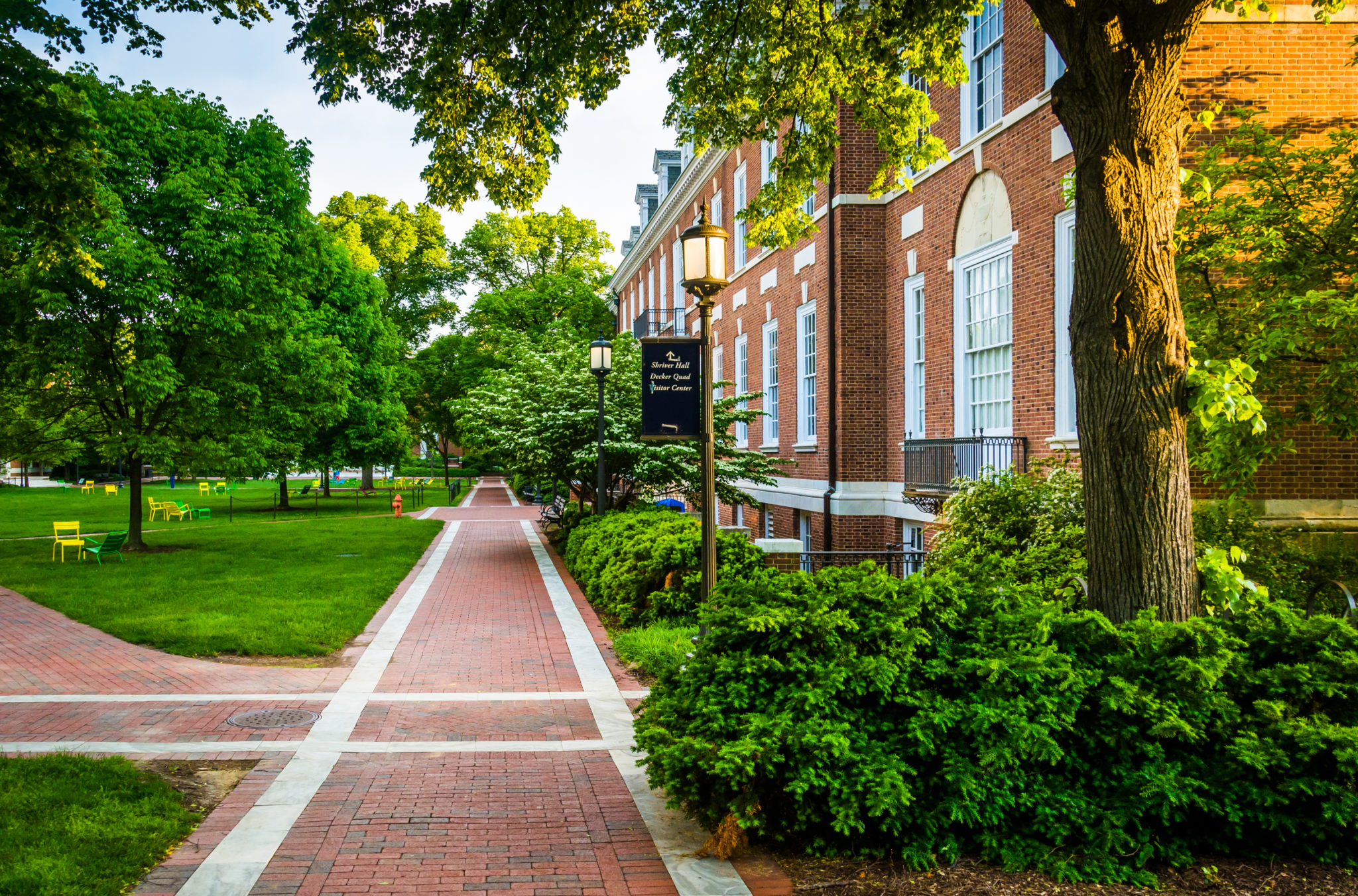 Brick Walkway And Building At John Hopkins University Baltimore College Application Essays