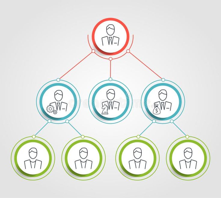 Business Hierarchy Circle Chart Infographics Corporate Organizational