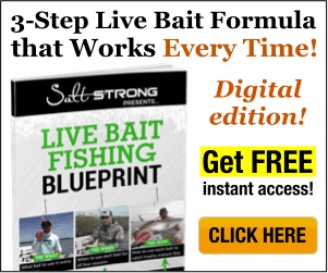 Casting Lures Vs Live Bait 1 Issue Among Inshore Anglers