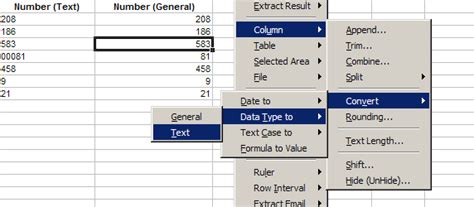 Convert Excel Data Types From Text To Number Date General Vice Versa Excel Tips Amp Add Ins