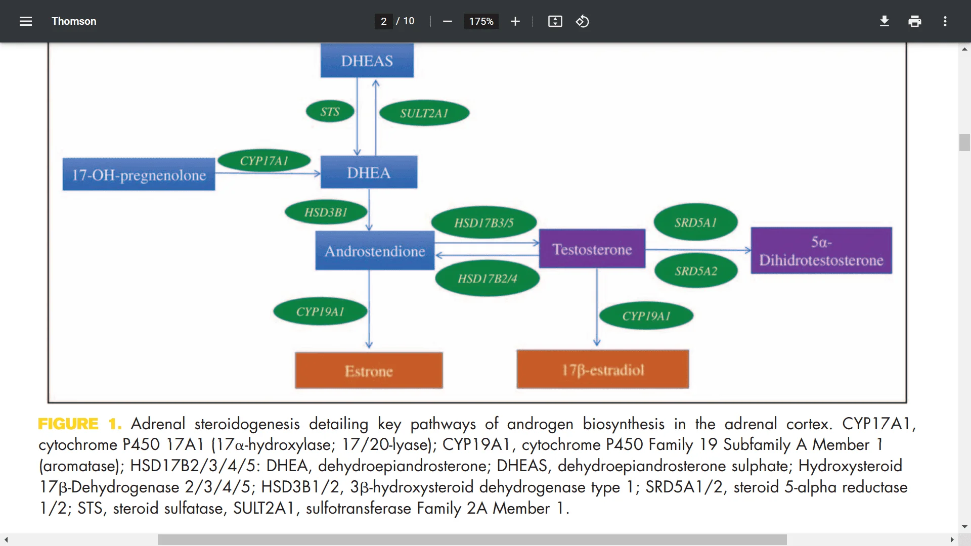 Dhea Supplementation In Patients With Adrenal Insufficiency Excel Male Trt Forum