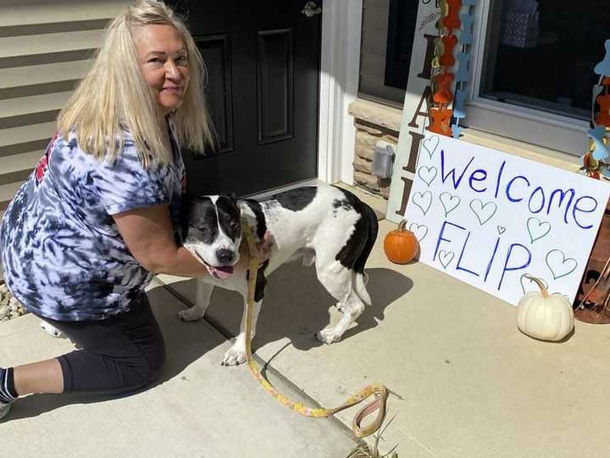 Dog Who Has Been At Ohio Shelter For More Than 2 500 Days Gets Adopted