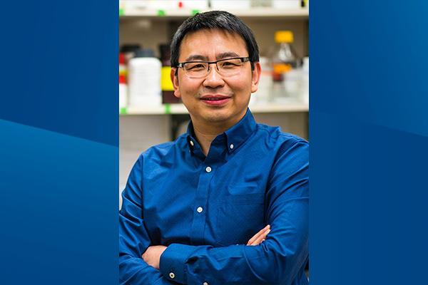 Dr Yang Awarded Nih Grant To Study Neuromodulatory Therapeutics For Stroke Patients Duke