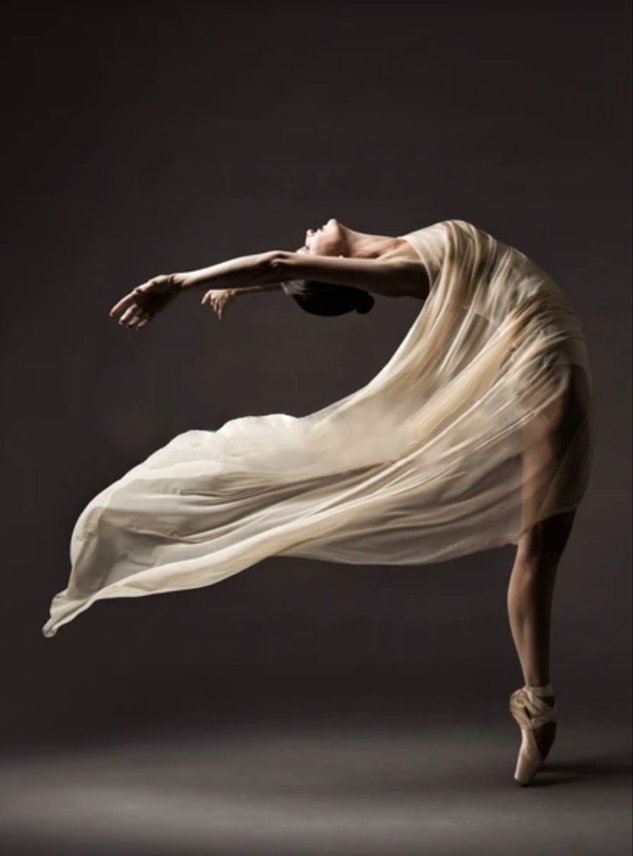 Etched Ballerina Photography Ballet Photography Dance Photos