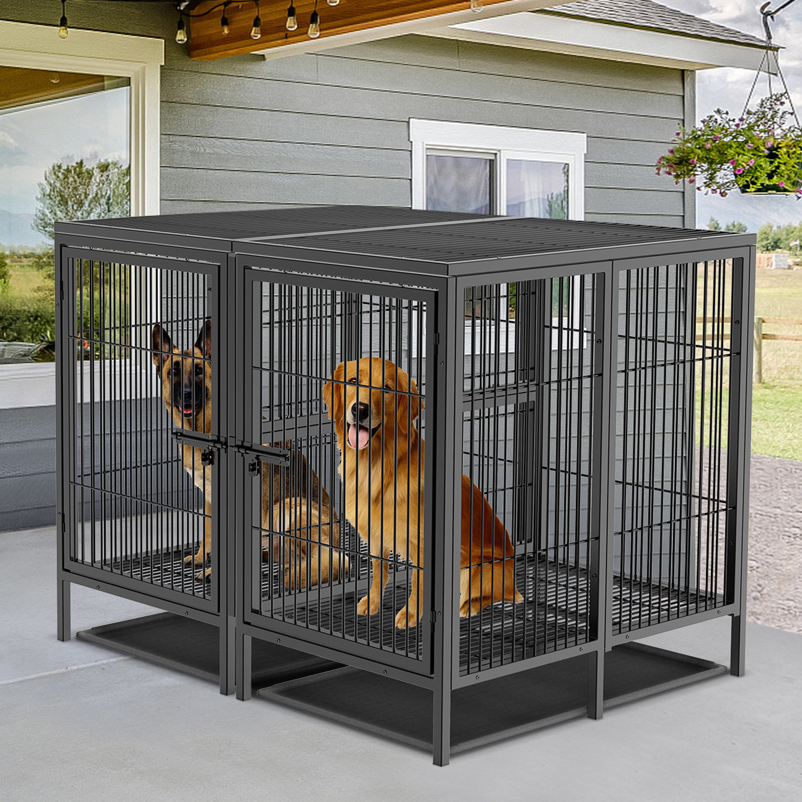 Extra Large Dog Crate For Sale Lupon Gov Ph