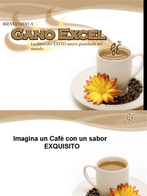 Gano Excel Presentaci N