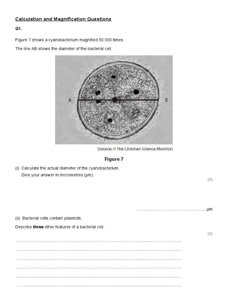 Gcse Biology Calculating Magnification And Size Of Specimens