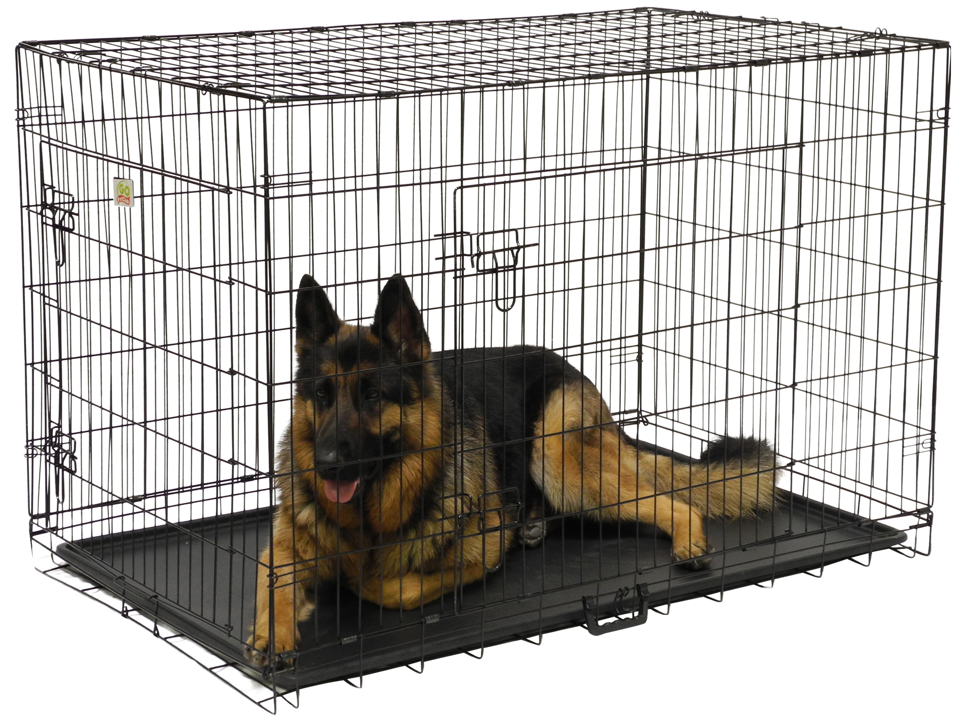 How Much Money Does A Dog Kennel Make