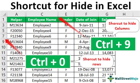 How To Hide Columns In Excel Using Shortcut Key Templates Printable