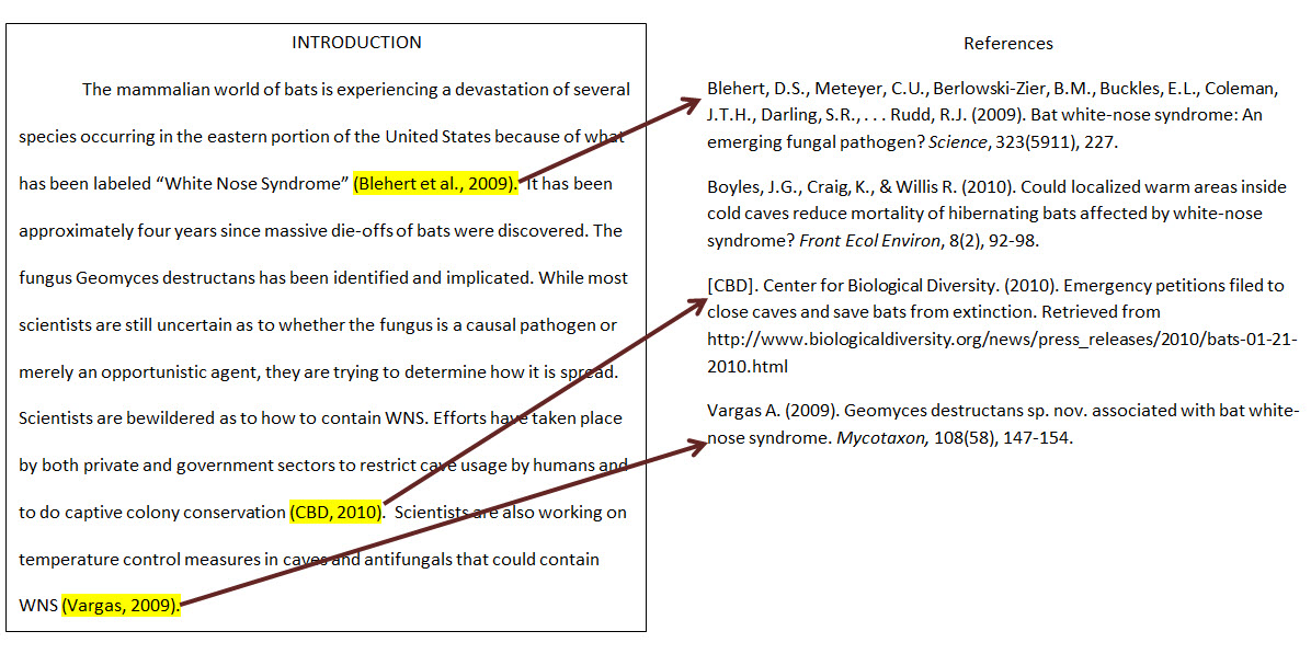 How To Insert A Citation In A Paper Mailple