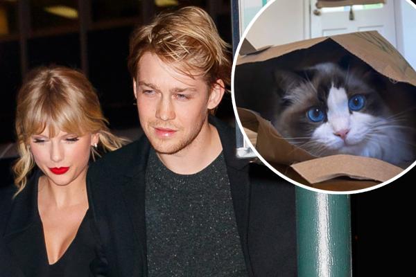 Joe Alwyn Shares A Rare Peek At Life With Girlfriend Taylor Swift