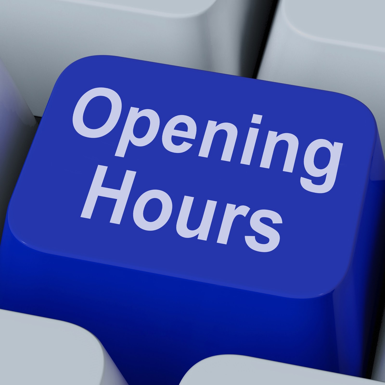 Library Opening Hours 18 November 2016 To 5 February 2017