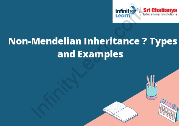 Mendelian Inheritance Infinity Learn By Sri Chaitanya