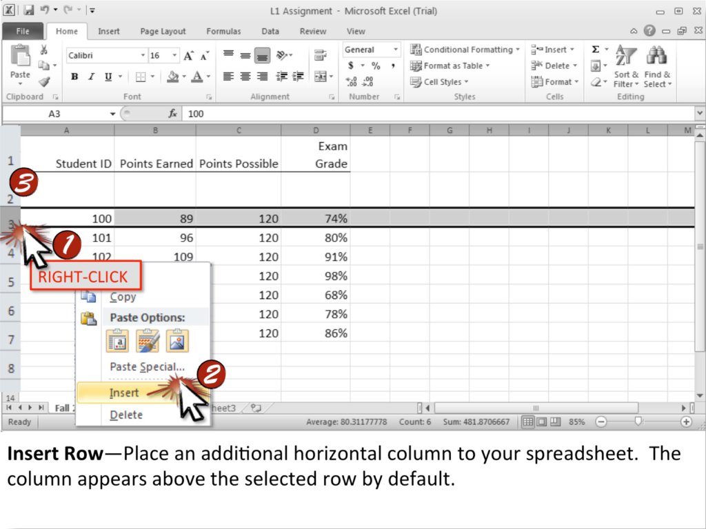 Microsoft Excel Techniques