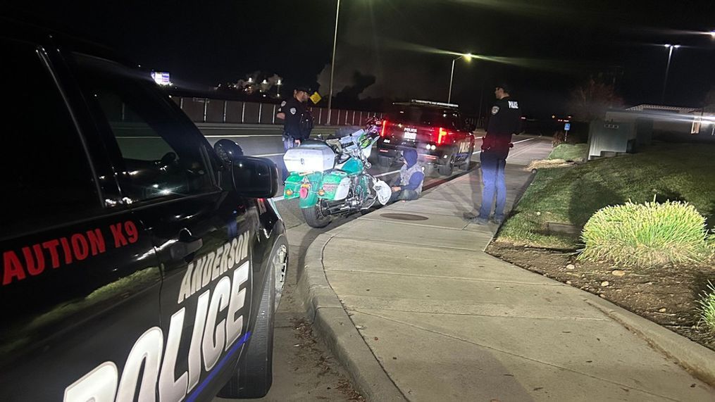 Multiple People Arrested After Walmart Retail Theft Operation In Anderson