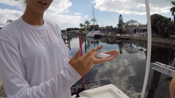 The 3 Best Live Bait Fish For Inshore Fishing In Florida Inshore