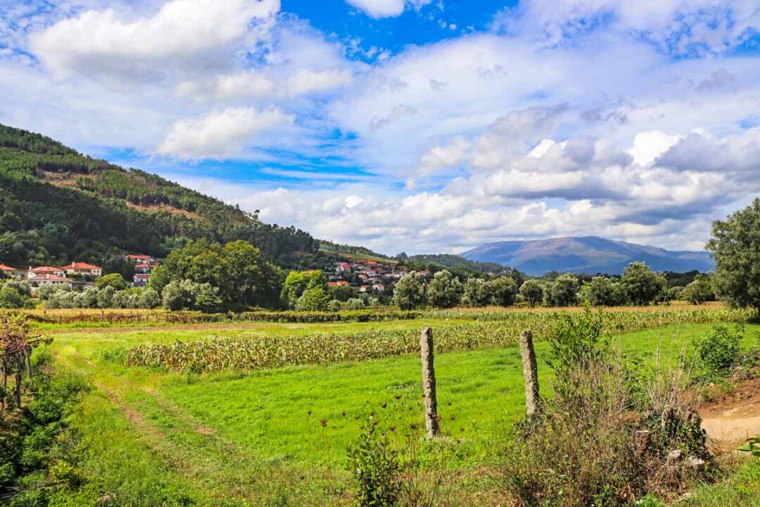 The Central Route Of The Portuguese Camino A 2024 Guide Stingy Nomads