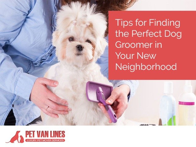 Tips For Finding The Perfect Neighborhood