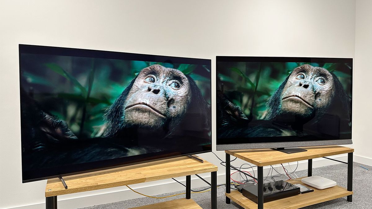 Top 5 Best 55 Inch Tvs In Nz 2025 4K Hdr And Oled Tvs