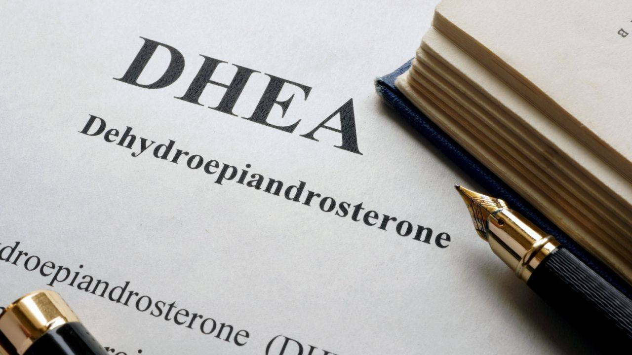 Unlocking The Mysteries Of Dhea A Guide For Menopausal Women