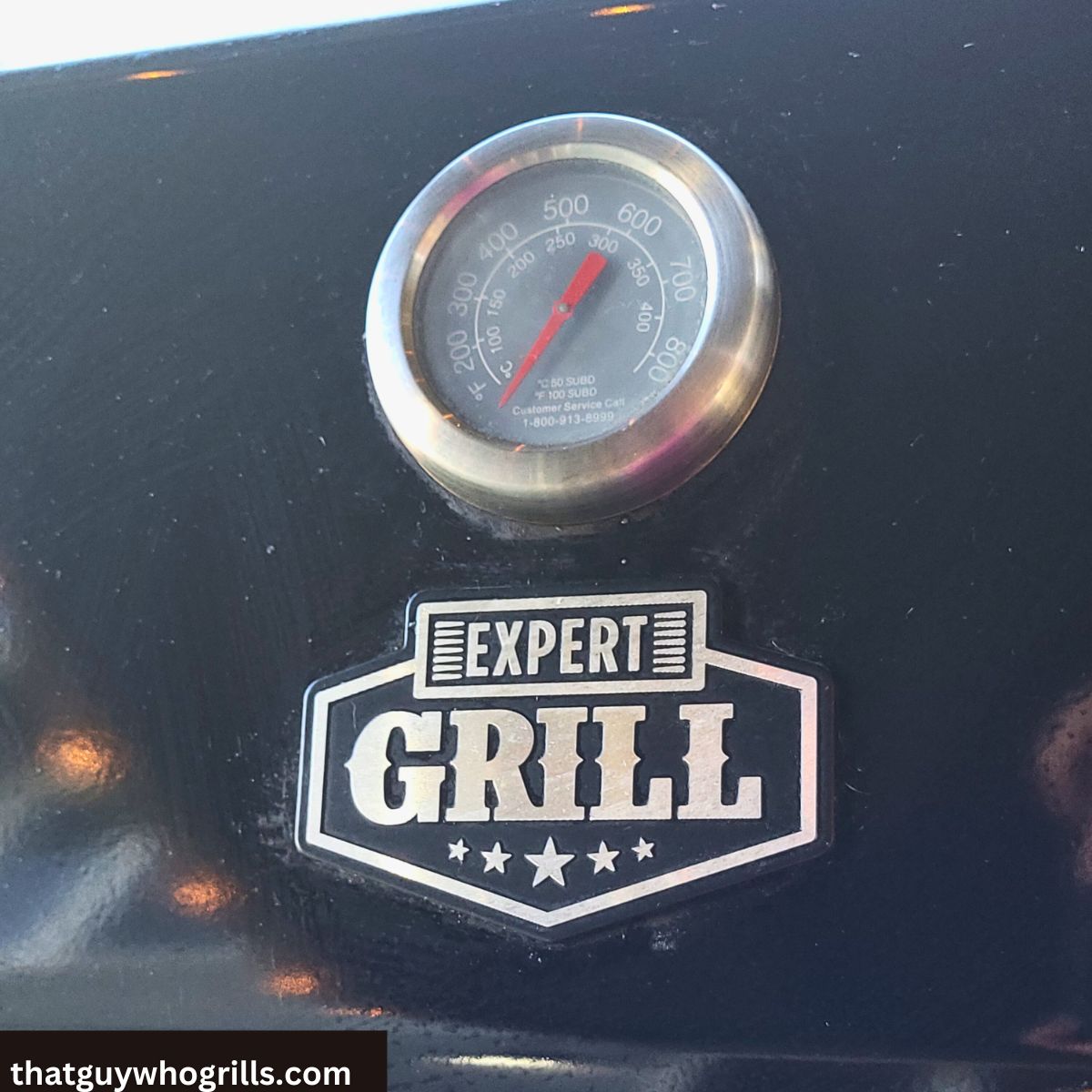 Walmart Expert Grill Buying Guide That Guy Who Grills