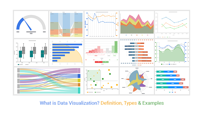 What Is Data Visualization Definition Meaning And Examples